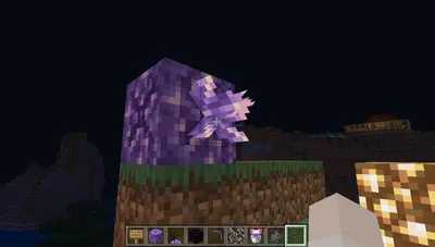 我的世界紫水晶如何生长？