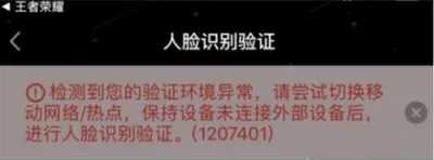 王者荣耀1207401代码怎么解决？