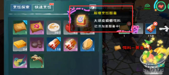 创造与魔法顽皮蝾螈饲料保底多少包